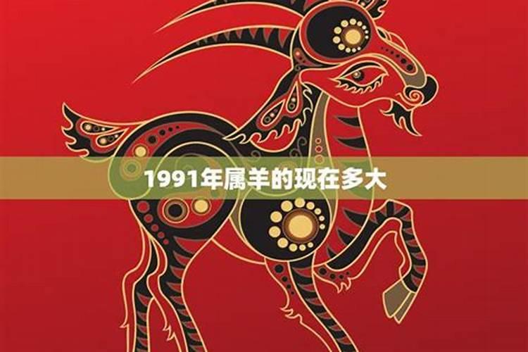 1991年属羊的是什么羊命