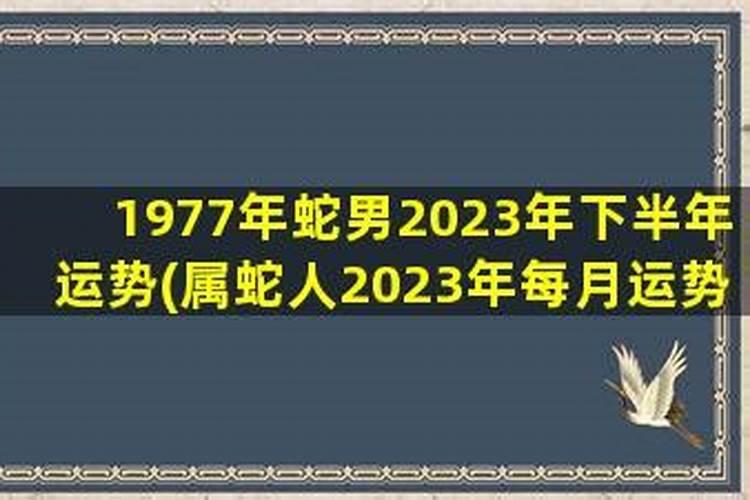 2001年蛇男命2023年运势