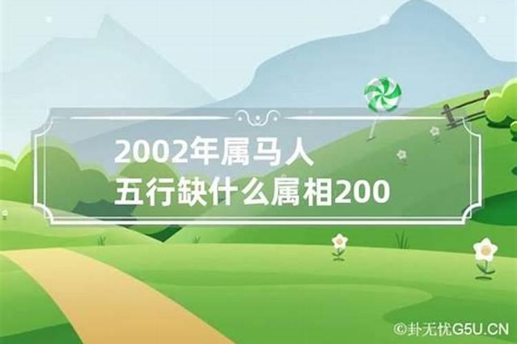 2002属马五行缺什么命