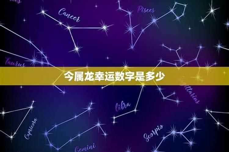 属龙今天幸运数字是多少