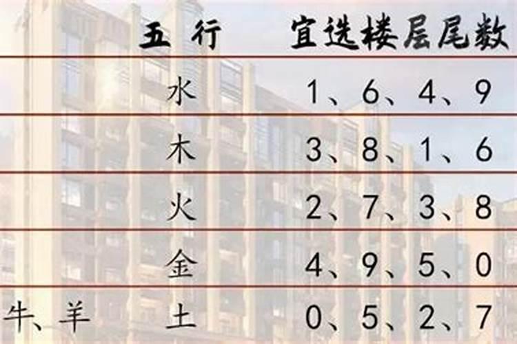 12层楼房五行属什么