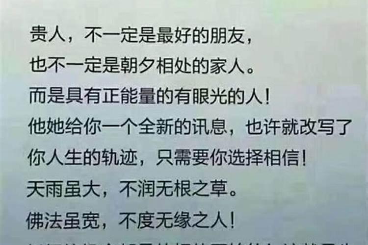 属猴与属兔的合不合