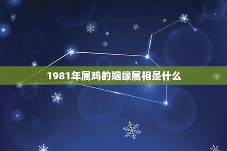 1981年属相是什么命