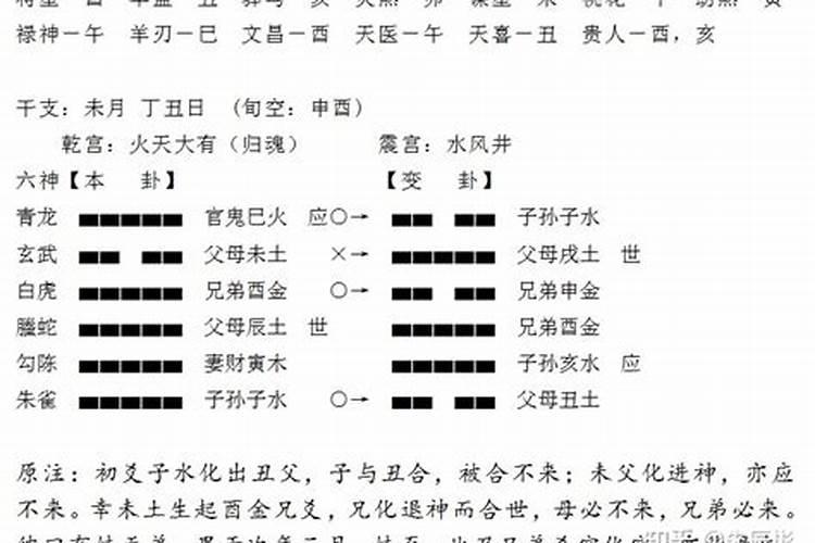 梦见个大耗子舔身上来了让猫咬它