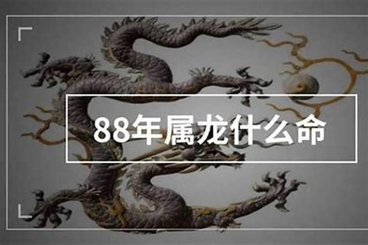 1988年属龙是什么命五行是什么