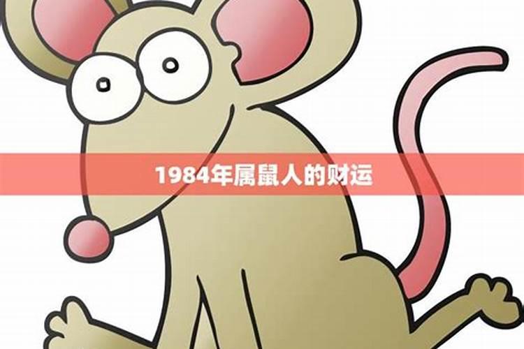 1984年属鼠的一生财运如何