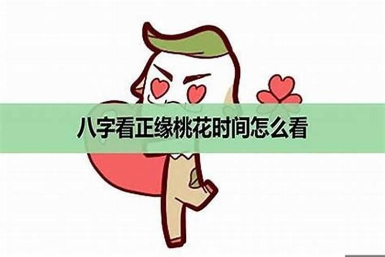 与狗同行指什么生肖呢