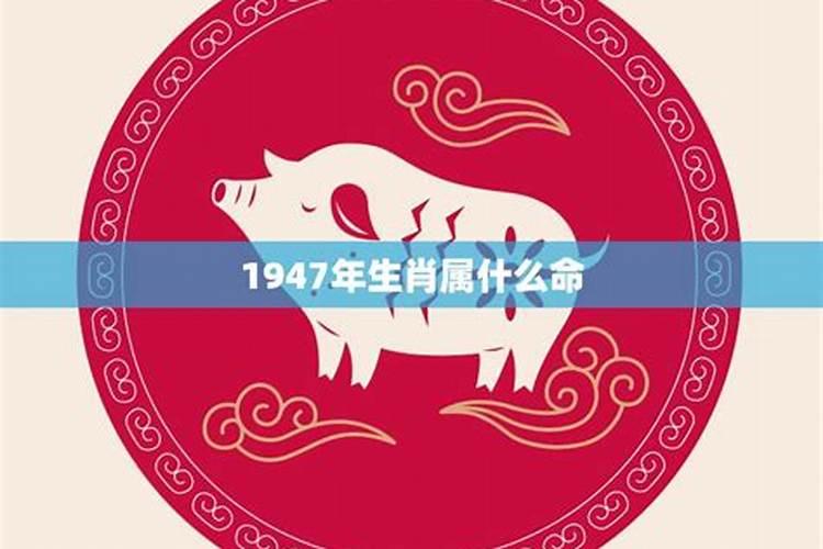 1947什么年属什么生肖