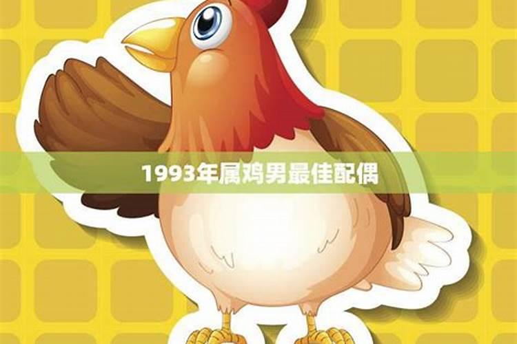 93年属鸡的最佳配偶属相