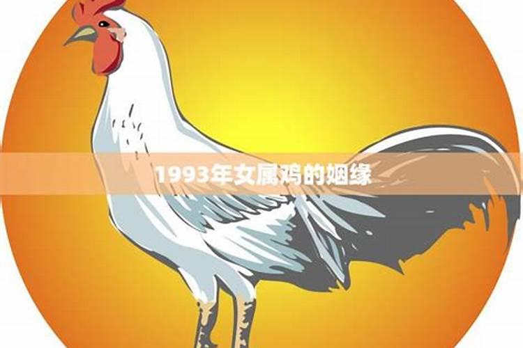 93年农历8月女属鸡的姻缘