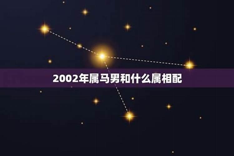 2002年属马的婚姻搭配