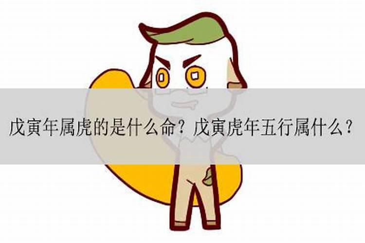 属兔正月运程怎么样