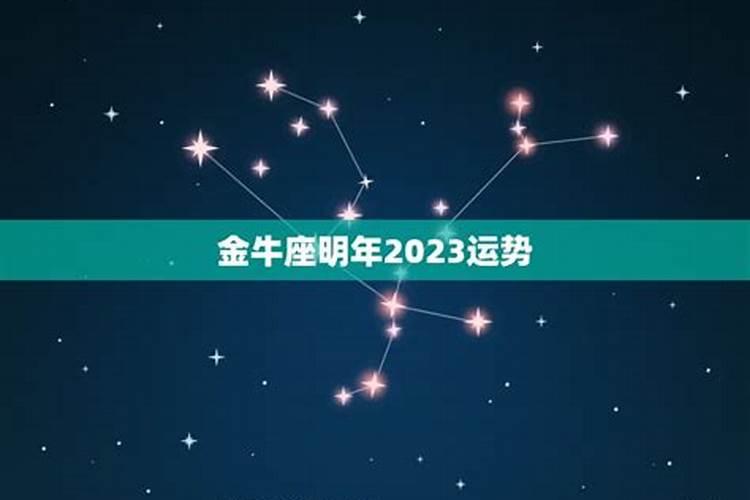 金牛座2020年事业