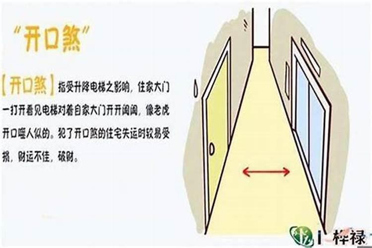 梦见一条大蛇是什么意思女人