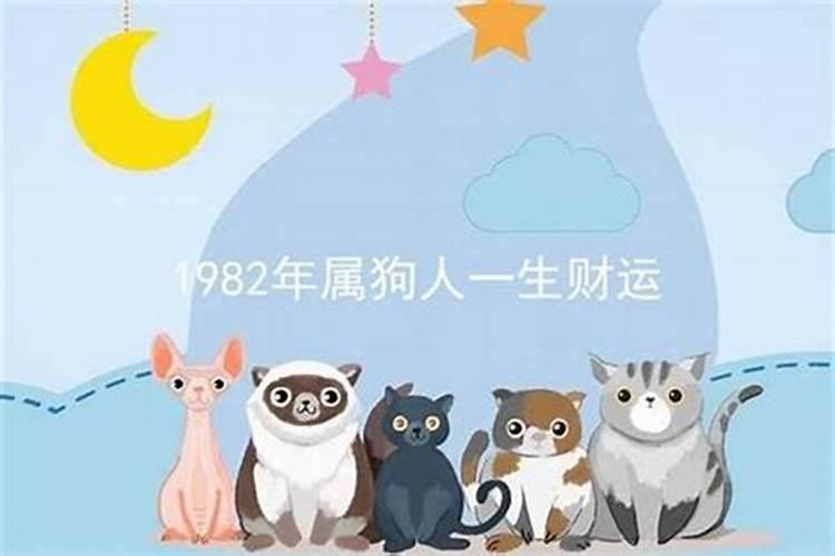 2021年34属什么的