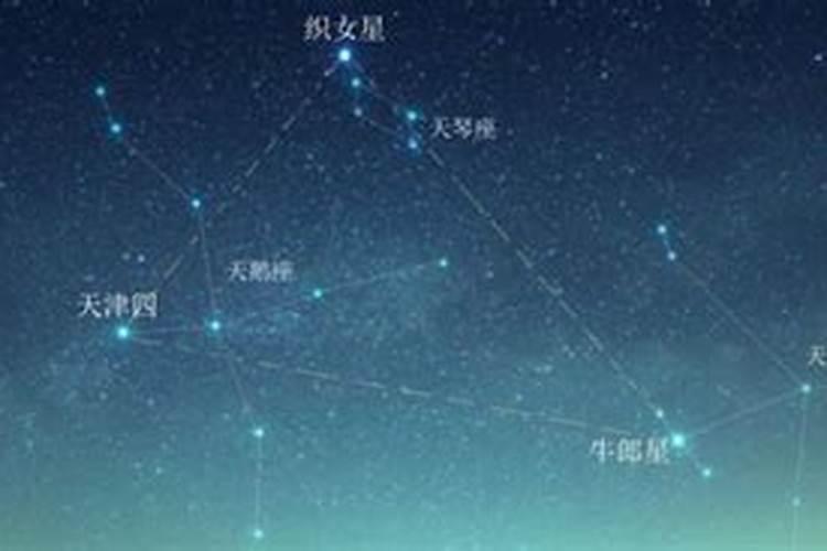 织女星是属于什么星座