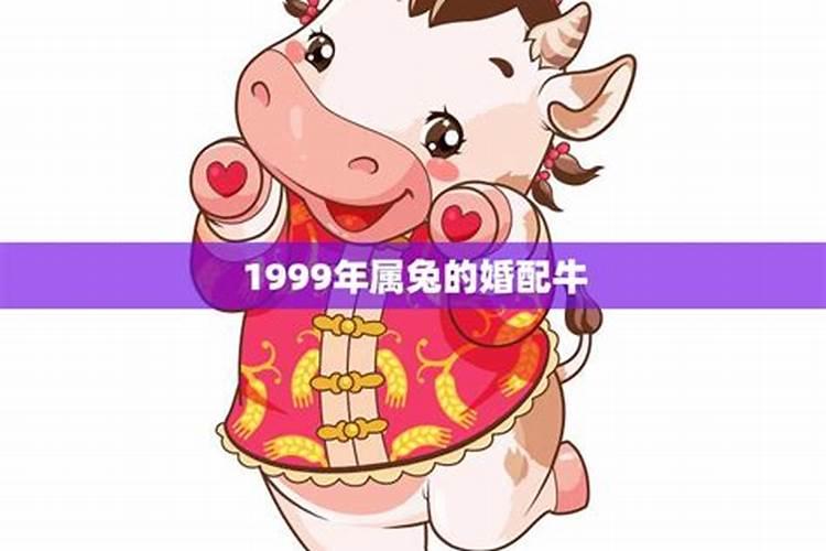 1999年属兔的最佳配偶