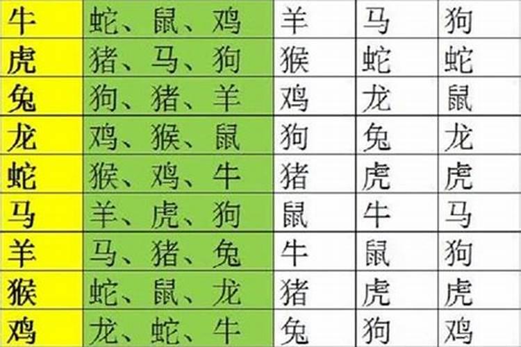 鸡的6合生肖是哪6合