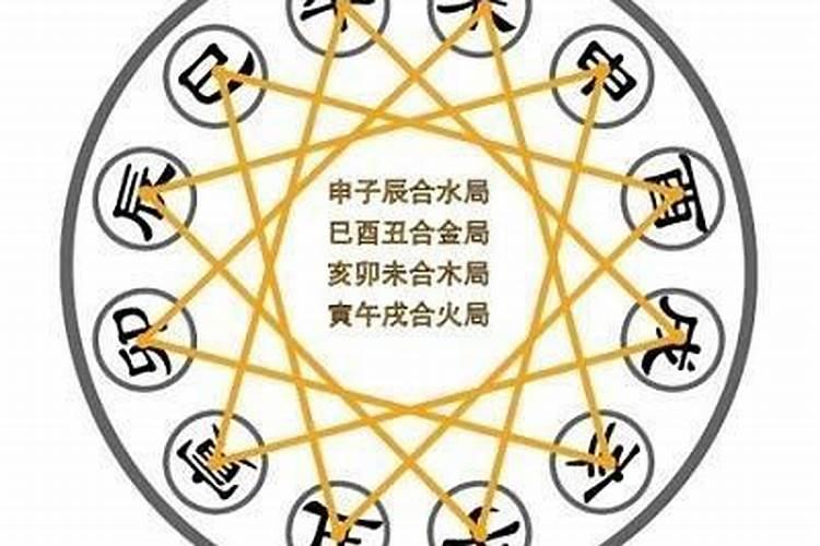 鸡的6合生肖是哪6合生肖