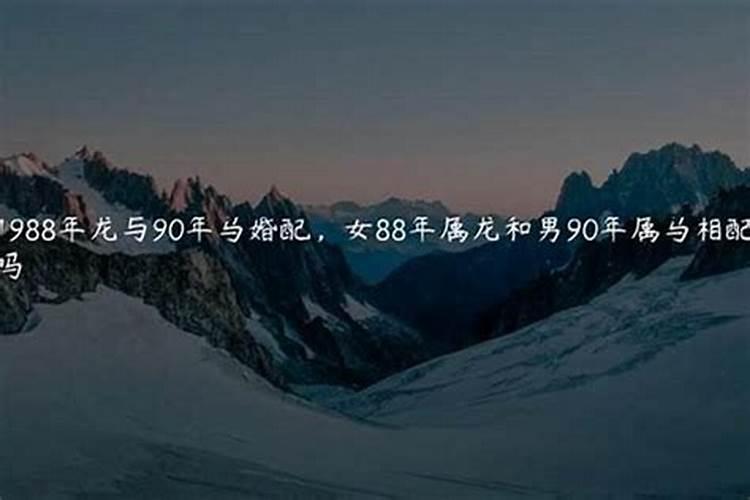 90年属马女婚姻怎么样，1990年属马男和1990年属马女