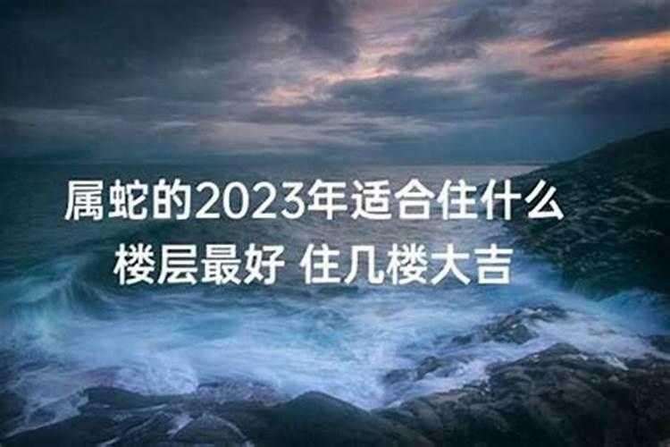 属蛇的买房十六忌1977年生的