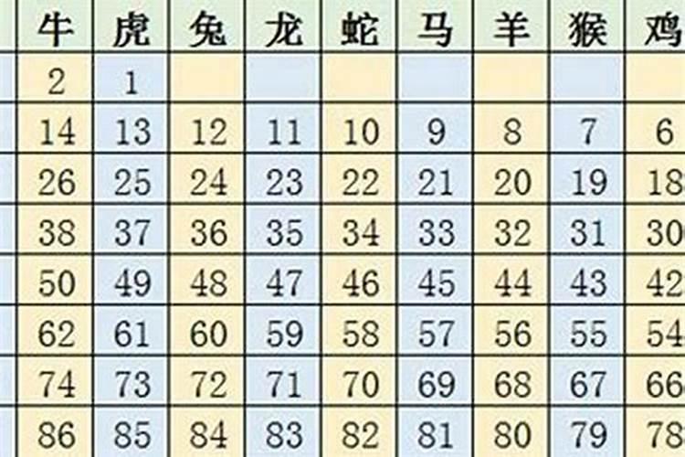 2023年犯太岁的生肖鸡怎么样