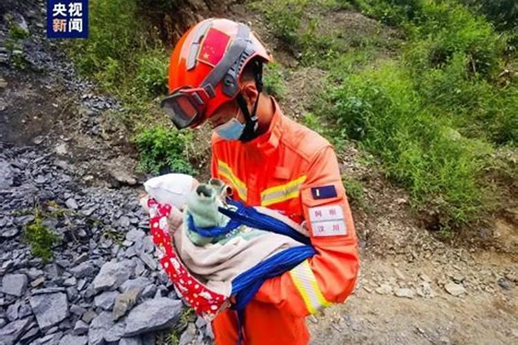 女人梦到地震预示什么救自己孩子