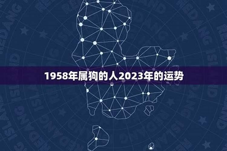 1963年属兔男2023年运势