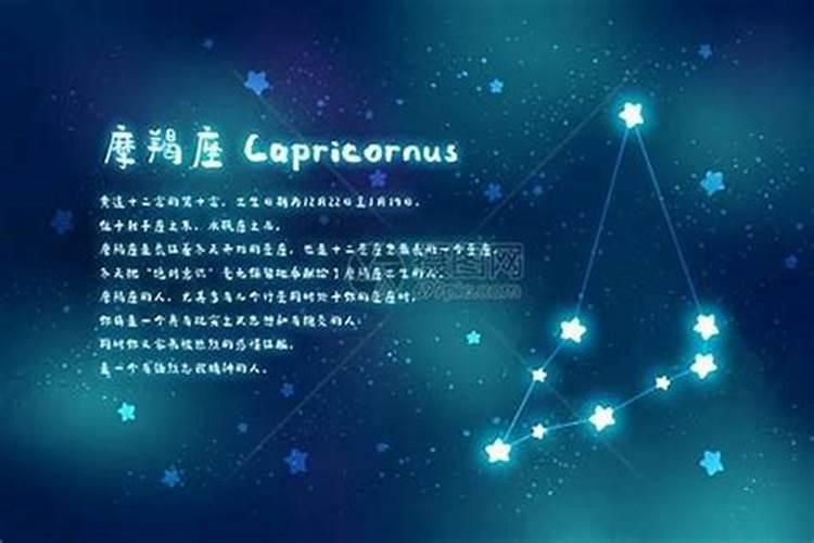 摩羯座喜欢哪个星座的男生