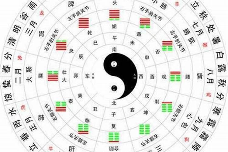 询字五行属什么