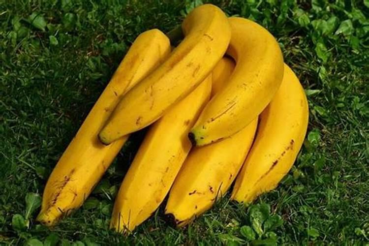 梦到买香蕉是什么寓意