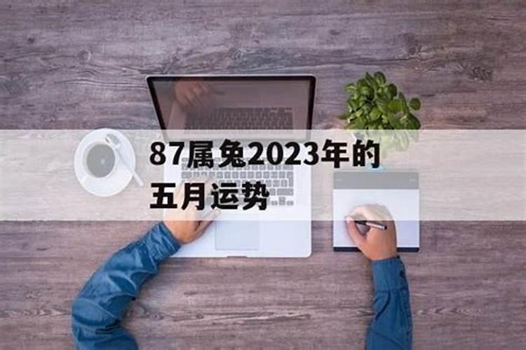 87属兔6月运势如何