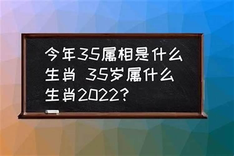 2020年35岁属什么的生肖属相