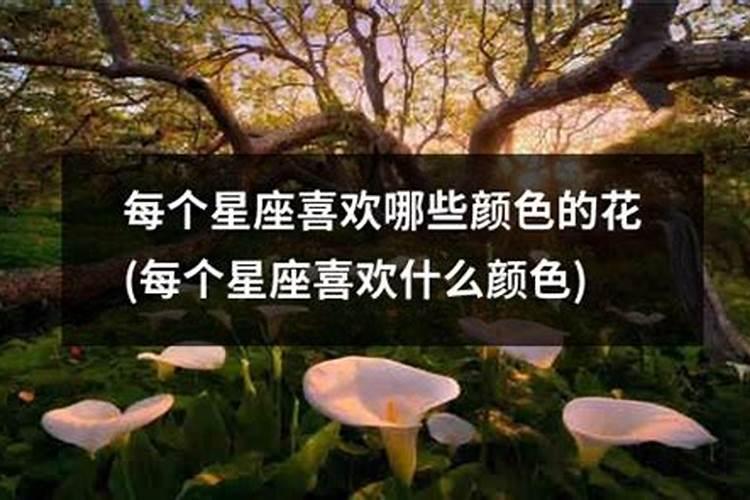 清明节一般会开什么生肖的花