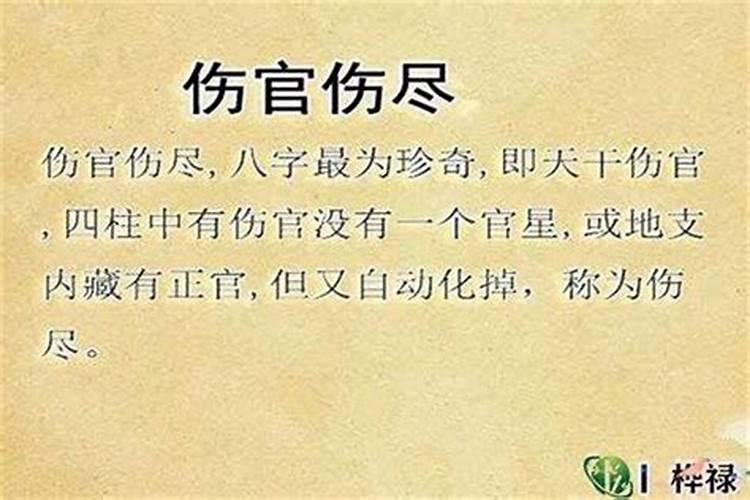 生辰八字里面写了伤官运是什么意思