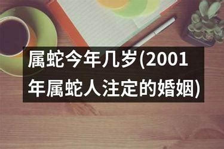 2001属蛇的今年多少岁