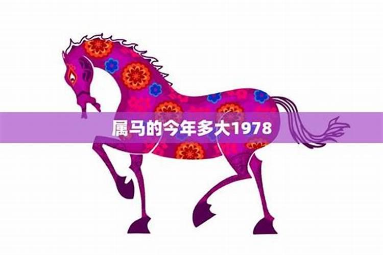 1978属马的今年多大了2021