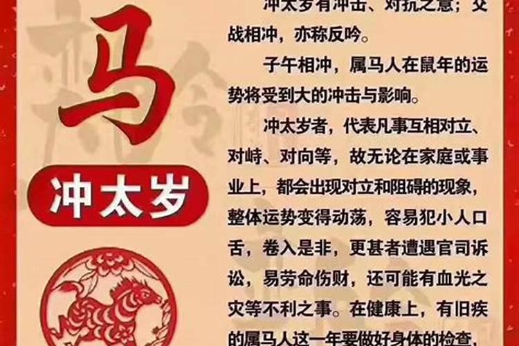 属鼠属马适合做夫妻吗