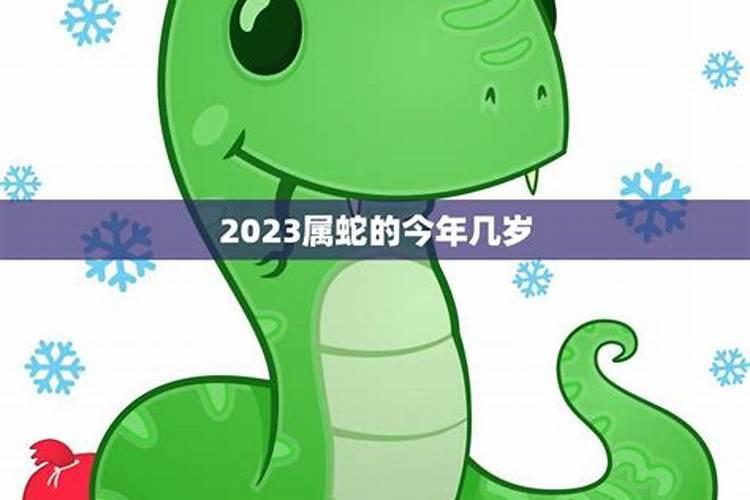 2023属蛇今年多少岁了啊