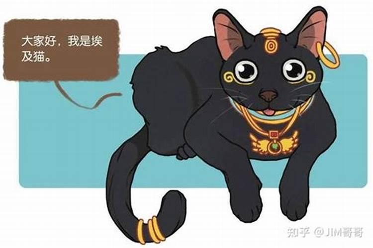 为什么十二生肖有龙没有猫