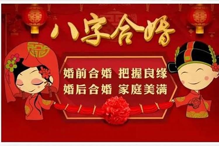 婚配属相男鼠配什么好呢