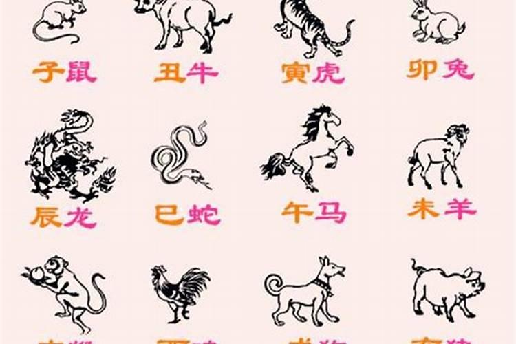 猪是生肖的第几位