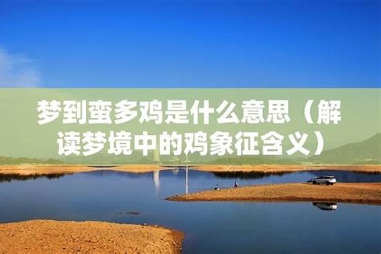 做梦梦到了鸡是什么意思