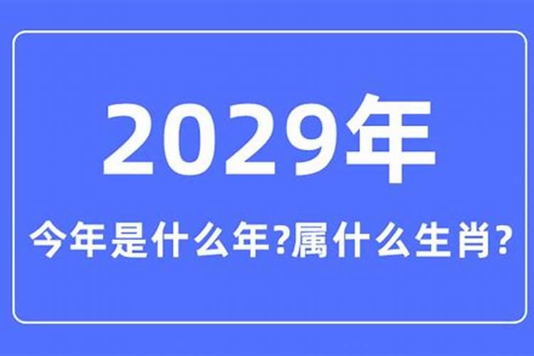 2029年是什么年生肖年份