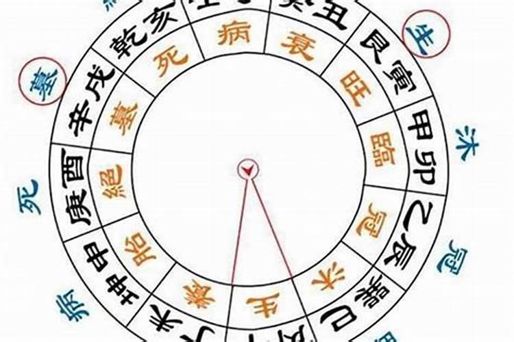 绅字属于五行属什么属性