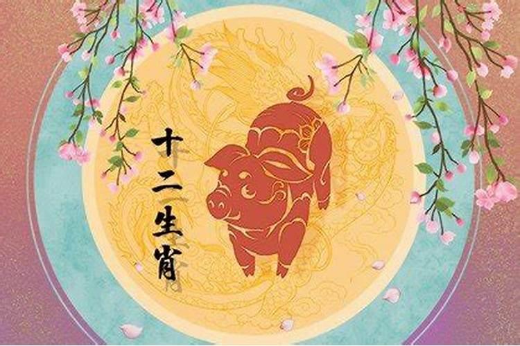 12生肖猪今年几岁