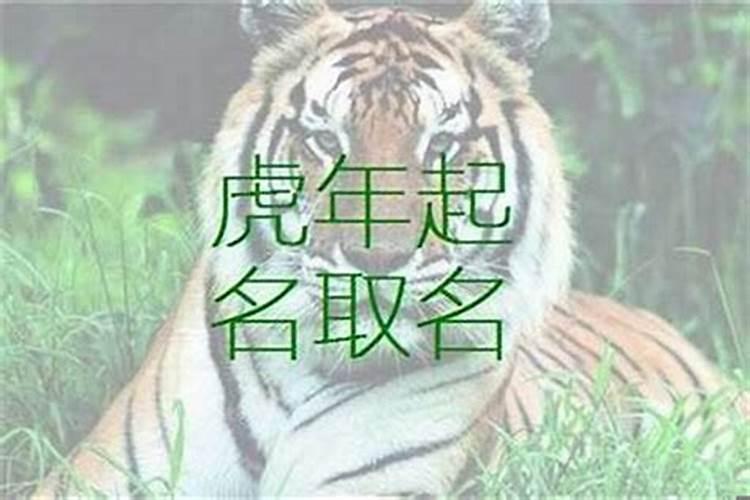 生肖虎取名忌用什么字