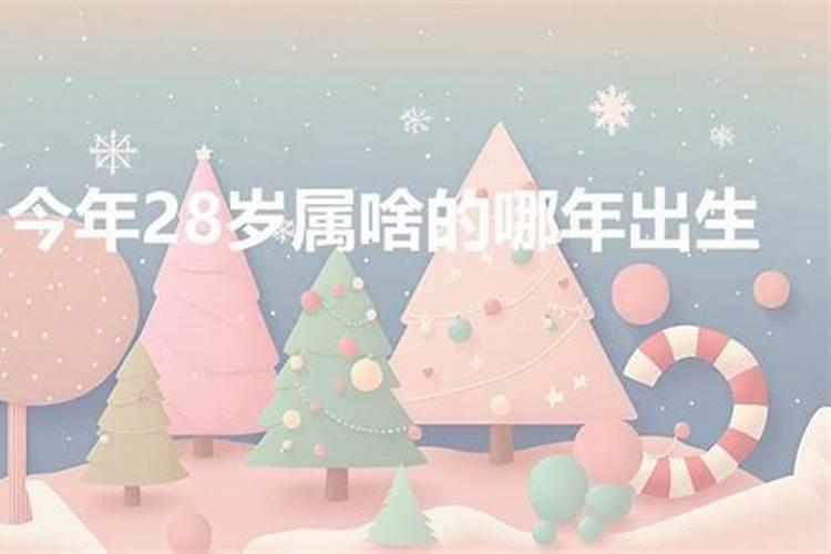 今年28岁属什么的生肖2020年出生