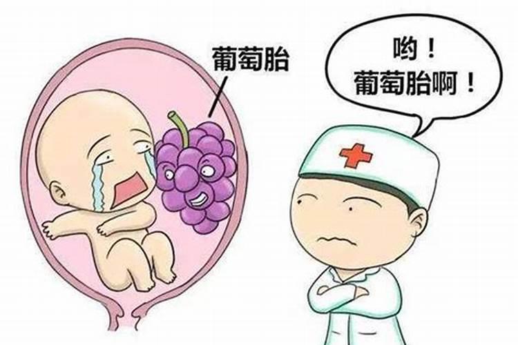 孕妇梦见自己怀孕是葡萄胎