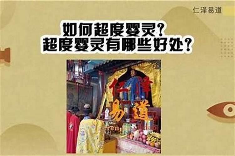 52岁属什么生肖今年多少岁